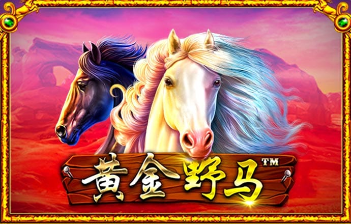 6151彩票最新开网址是什么